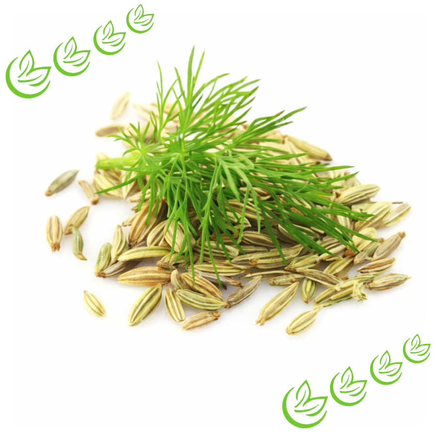 Ätherisches Fenchelöl süss