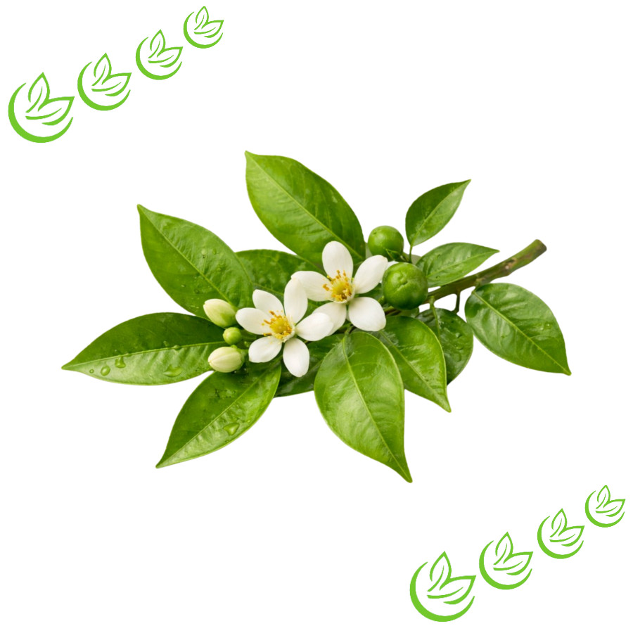 Ätherisches Petitgrainöl