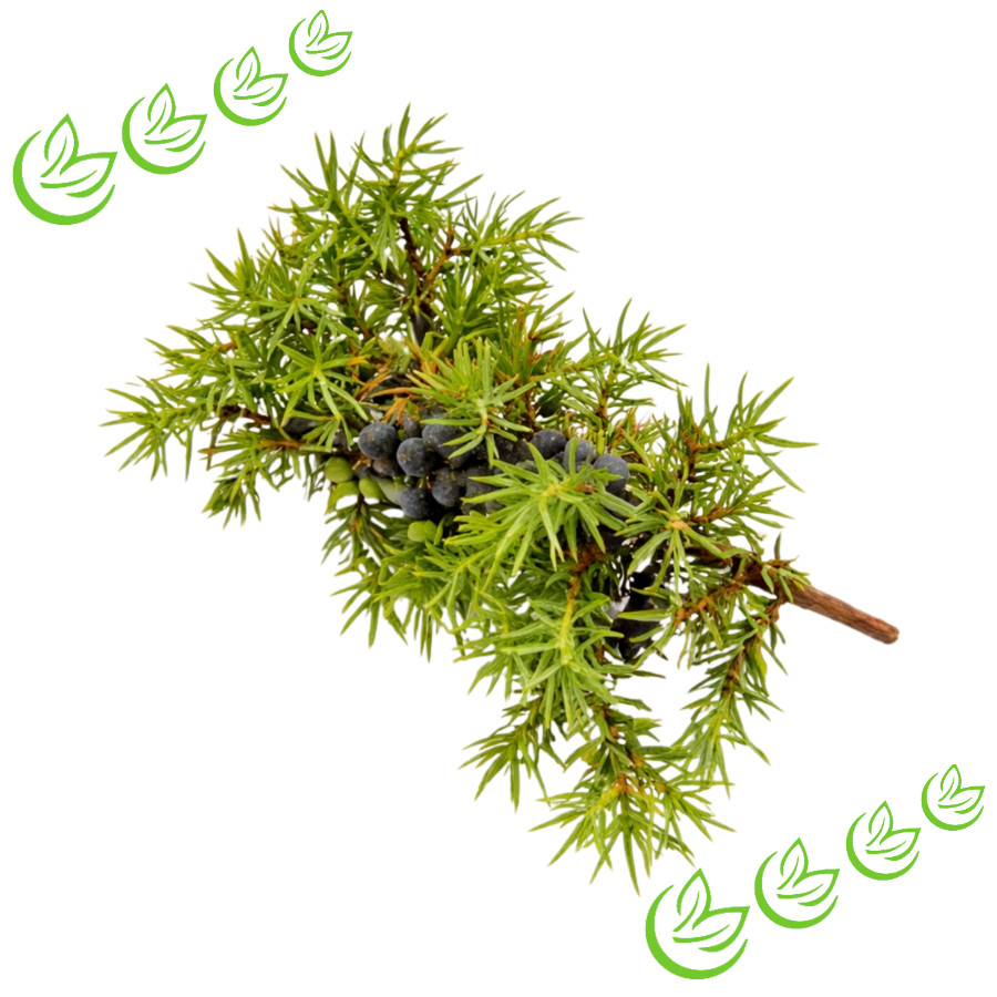 Ätherisches Wacholderholzöl
