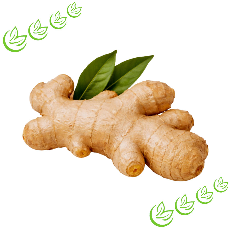 Ätherisches Ingweröl