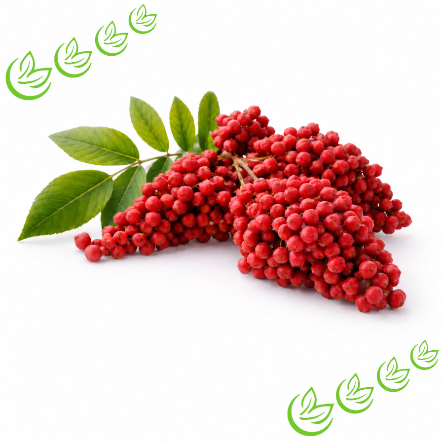 Beerenwachs