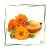Calendulaöl BIO