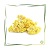 Hydrolat Immortelle BIO