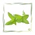 Hydrolat Pfefferminz BIO