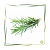 Hydrolat Rosmarin BIO