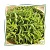 Hydrolat Verbena BIO