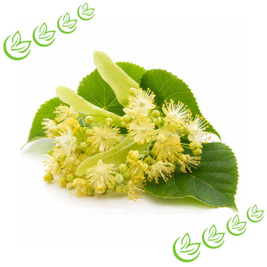 Parfümöl Lindenblossom