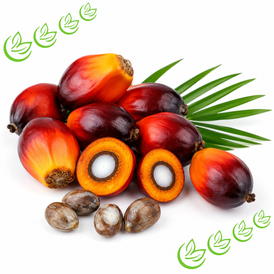 Palmöl raffiniert BIO