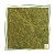 Pearl Olive Yellow