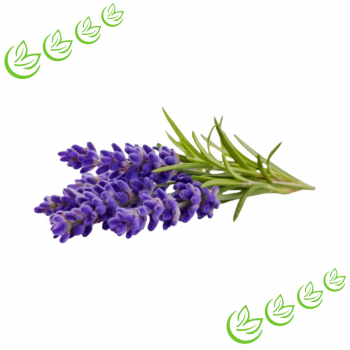 Äth. Lavendelöl 100 ml