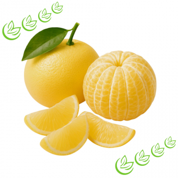 Ätherisches Grapefruitöl  1 l