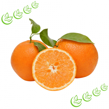 Äth. Orangenöl kaltgepresst BIO 20 ml