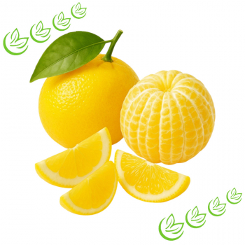 Äth. Zitronenöl kaltgepresst BIO 20 ml