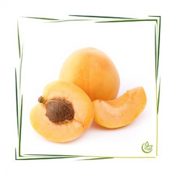 Aprikosenkernöl kaltgepresst BIO 25 kg