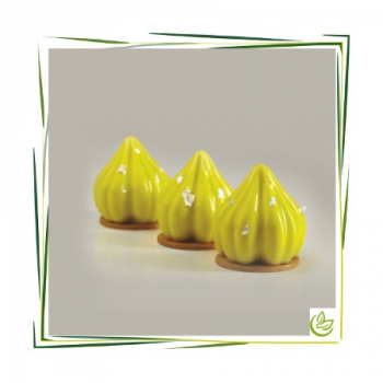 Silikonform Gel