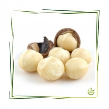 Macadamianussöl kaltgepresst BIO 25 kg