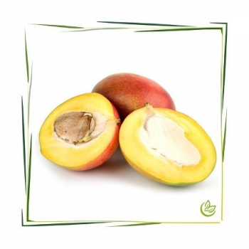 Mangobutter raffiniert BIO 5 kg