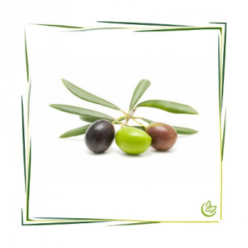 Oliventresteröl 5 l