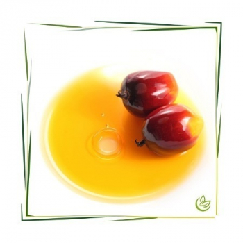 Palmöl raffiniert BIO 1 kg