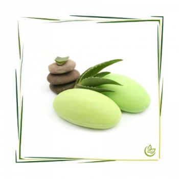Aloe Vera Parfum Fragrance Parfml Duft Zusatz Kosmetik -  www.manske-shop.com