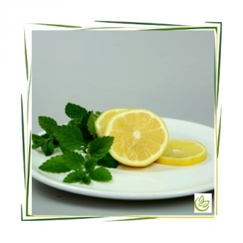 Parfümöl Lemon Verbena 100 ml