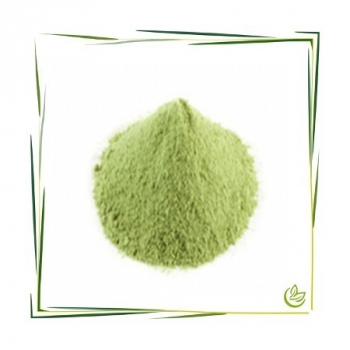 Spinatpulver BIO 1 kg