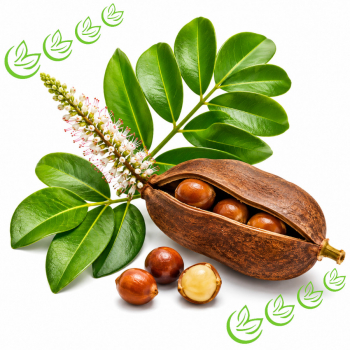 Pracaxiöl kaltgepresst 1 kg