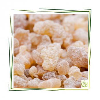 Äth. Weihrauch-Olibanumöl BIO 1 l