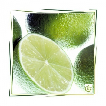 Äth. Limettenöl BIO 500 ml
