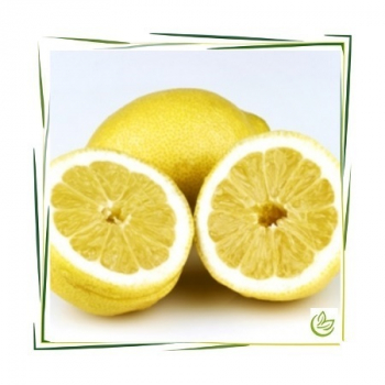 Äth. Zitronenöl BIO 5 l