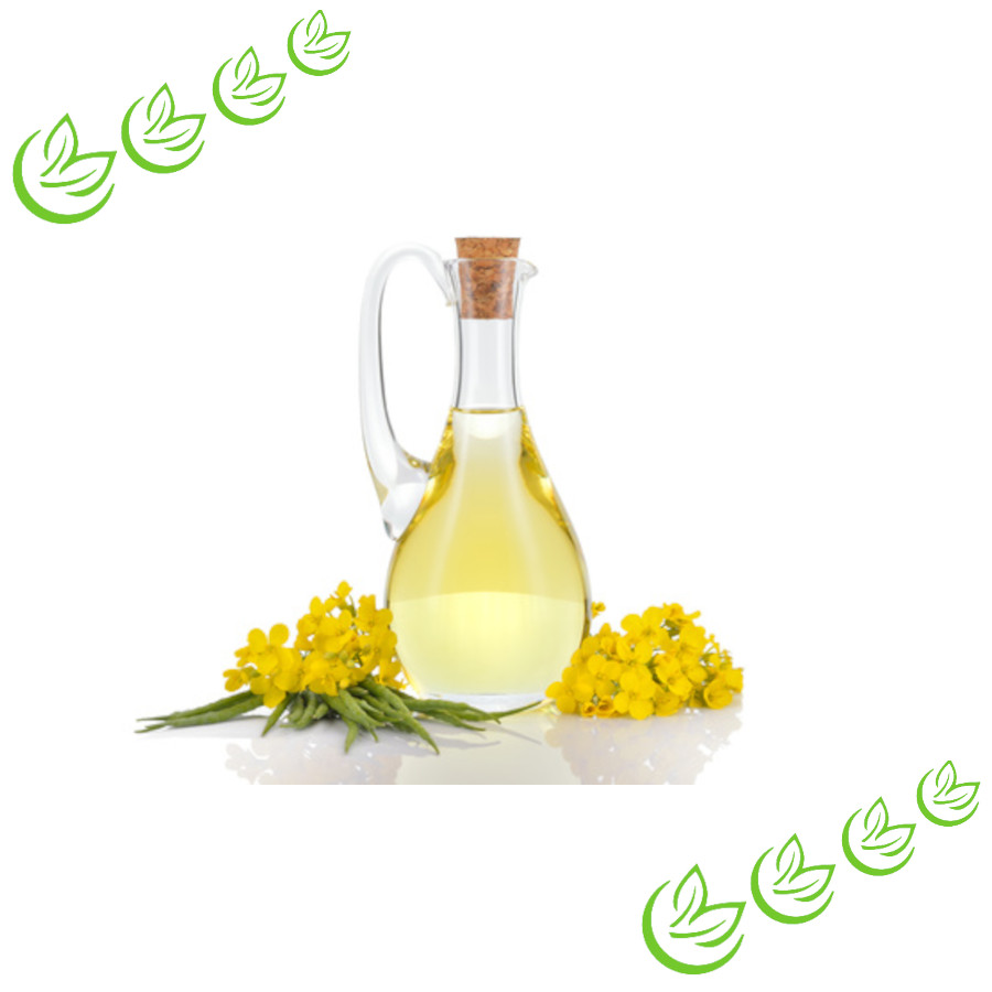 Rapsöl (Rüböl) raffiniert BIO 1 l - www.manske-shop.com