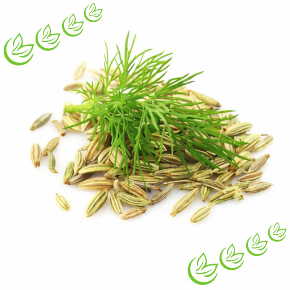 Äth. Fenchelöl süss 100 ml