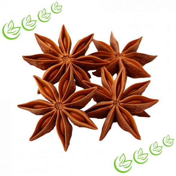 Äth. Sternanisöl 20 ml