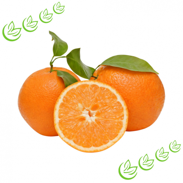 Äth. Orangenöl kaltgepresst 5 l