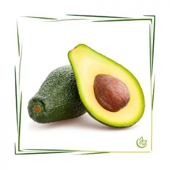 Avocadoöl raffiniert BIO 1 l