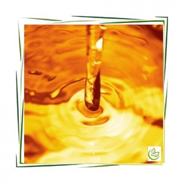 Jojobaöl kaltgepresst BIO 500 ml