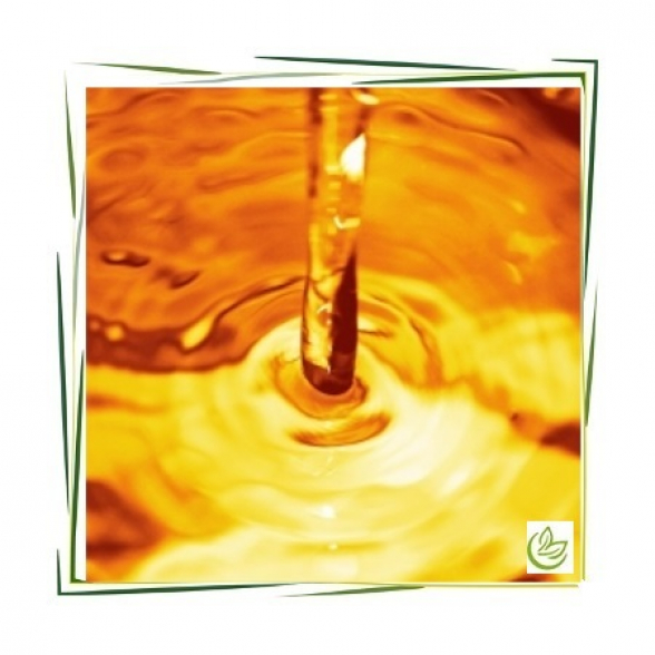 Jojobaöl kaltgepresst 25 kg