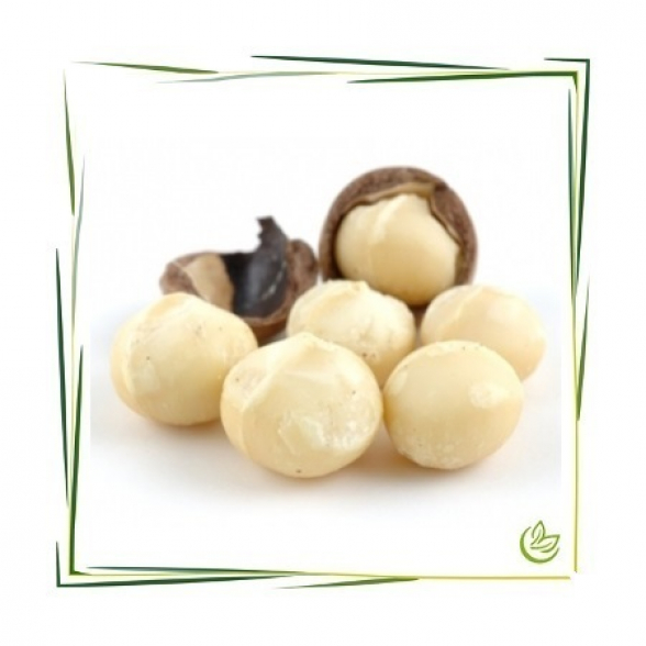 Macadamianussöl kaltgepresst BIO 25 kg