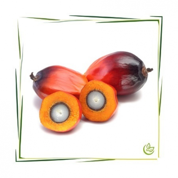 Palmkernöl raffiniert 2,5 kg