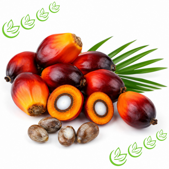 Palmöl raffiniert BIO 15 kg