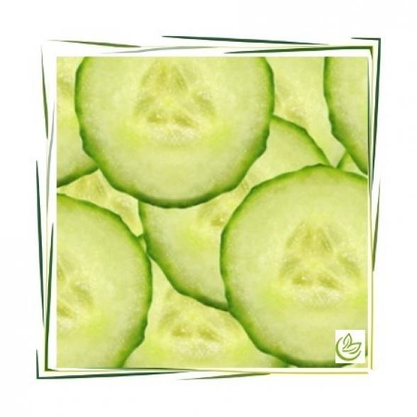 Parfümöl Gurke 100 ml