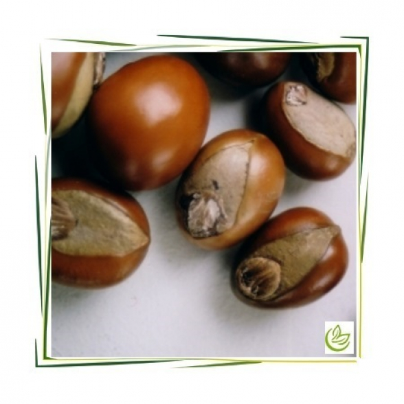 Sheabutter Nilotica 17 kg