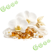 Parfümöl Moschus 20 ml