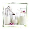 Parfümöl Milk 20 ml