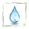 Seide hydrolysiert 20 ml